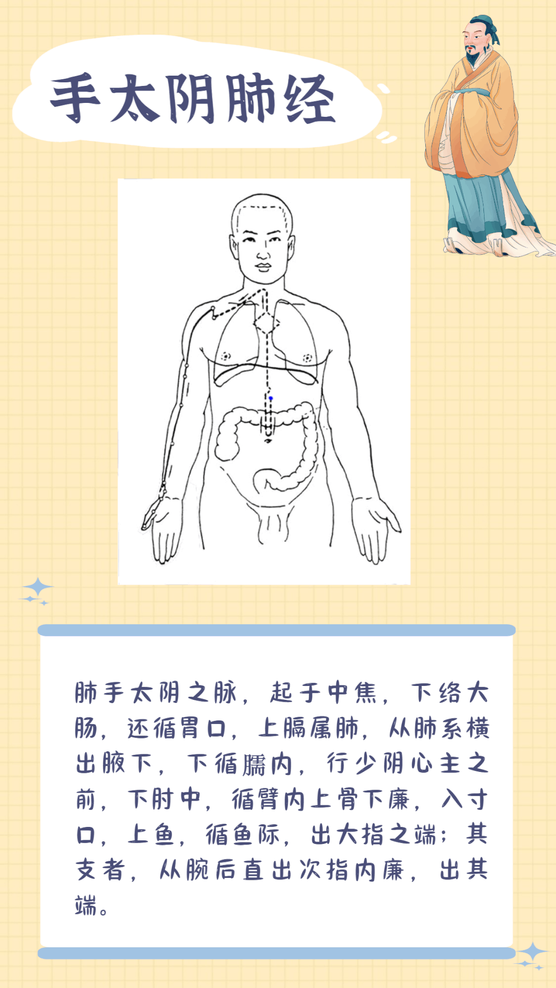 手太阴肺经常用腧穴:02手阳明大肠经常用腧穴:03足阳明胃经常用腧穴