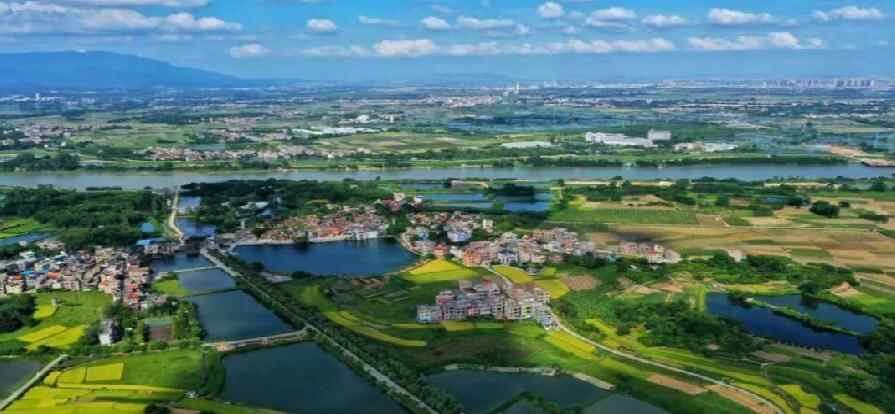 小筛查省大钱!一个镇的肠癌防控创新项目节省医疗经济负担超6000万元