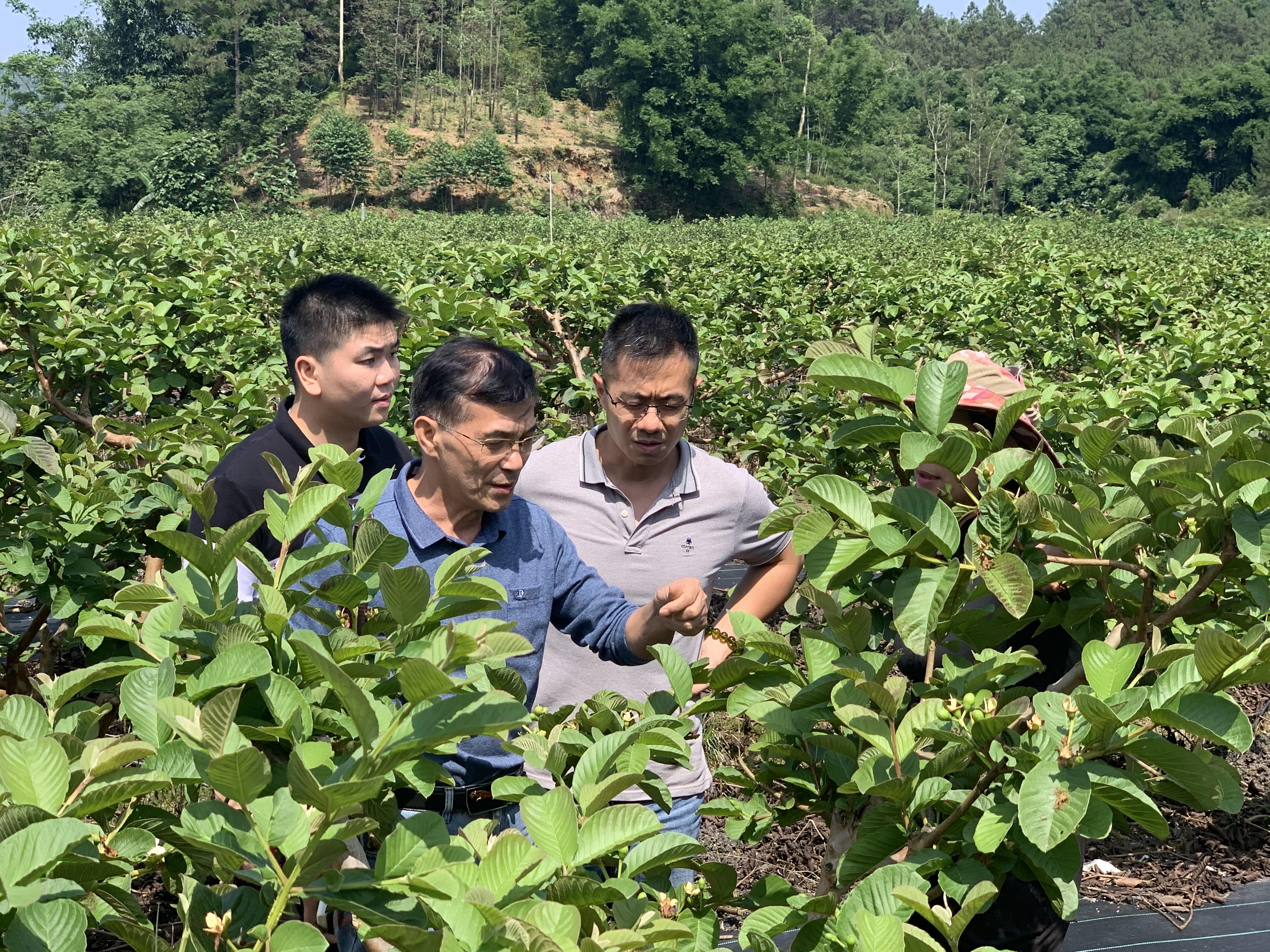 广东省农科所种苗基地图片