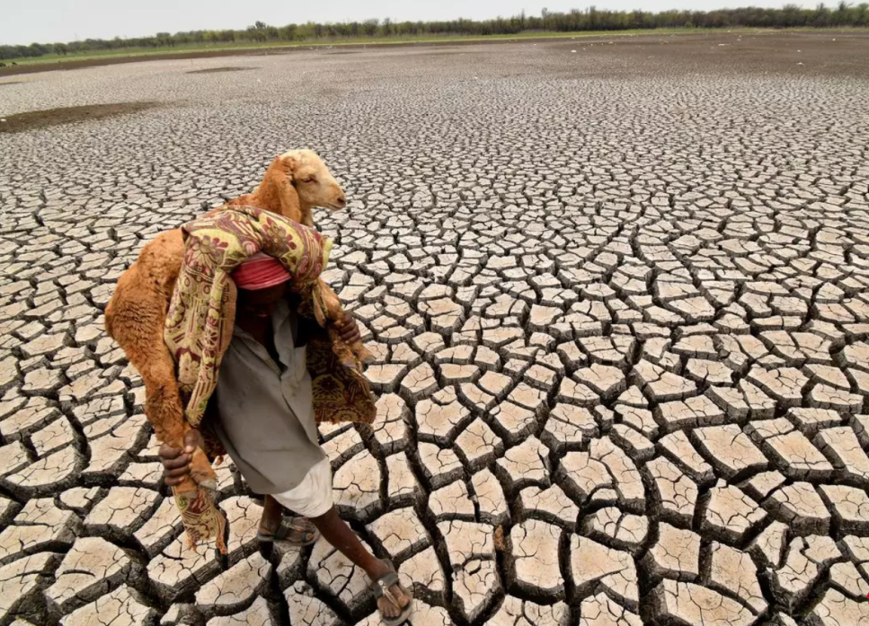 多个国家,甚至地处南半球,眼下处于秋冬季节的非洲国家博茨瓦纳和南非