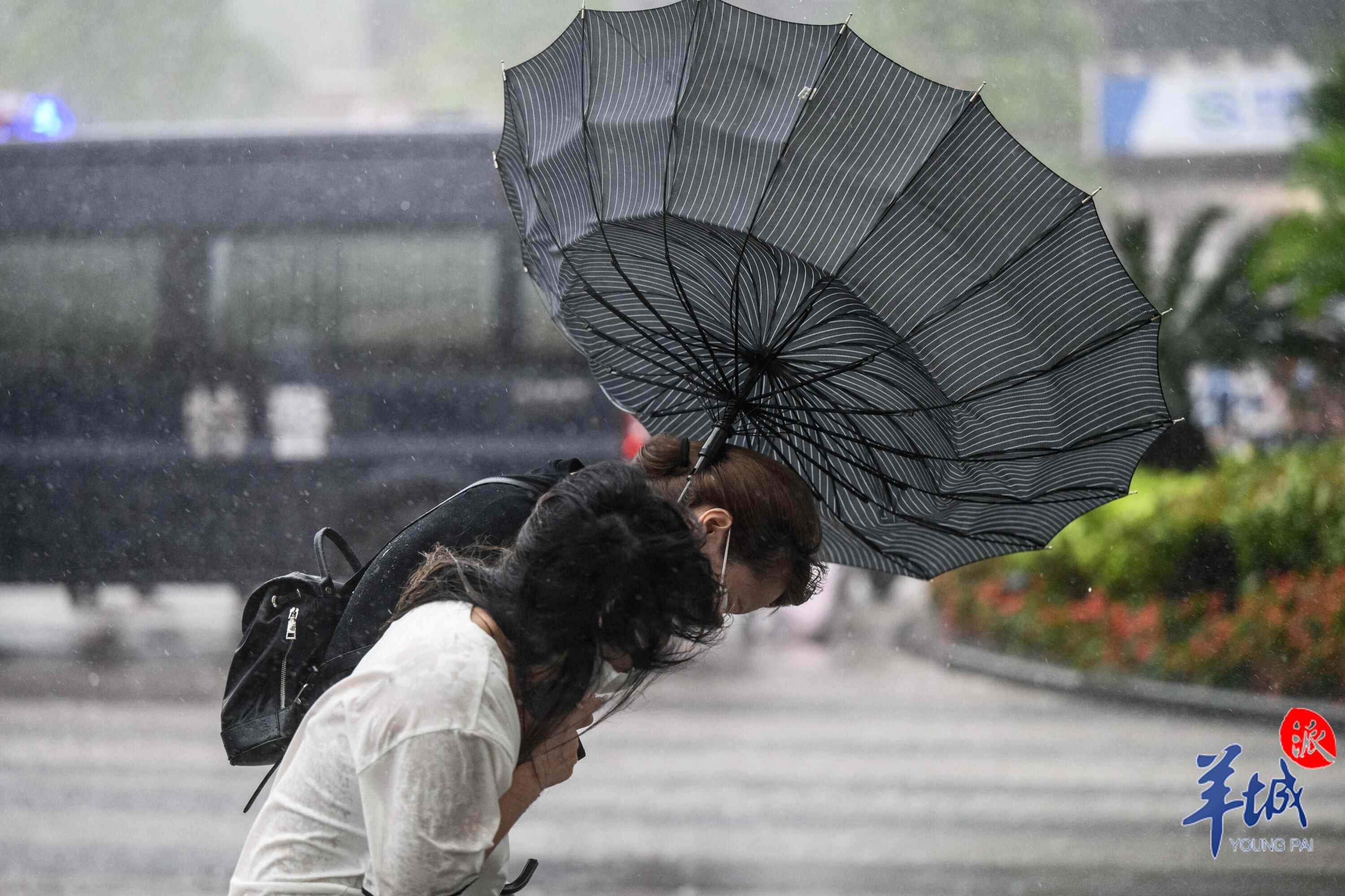 【视频 图集】广州雷雨大风黄色预警生效,直击雨中街头