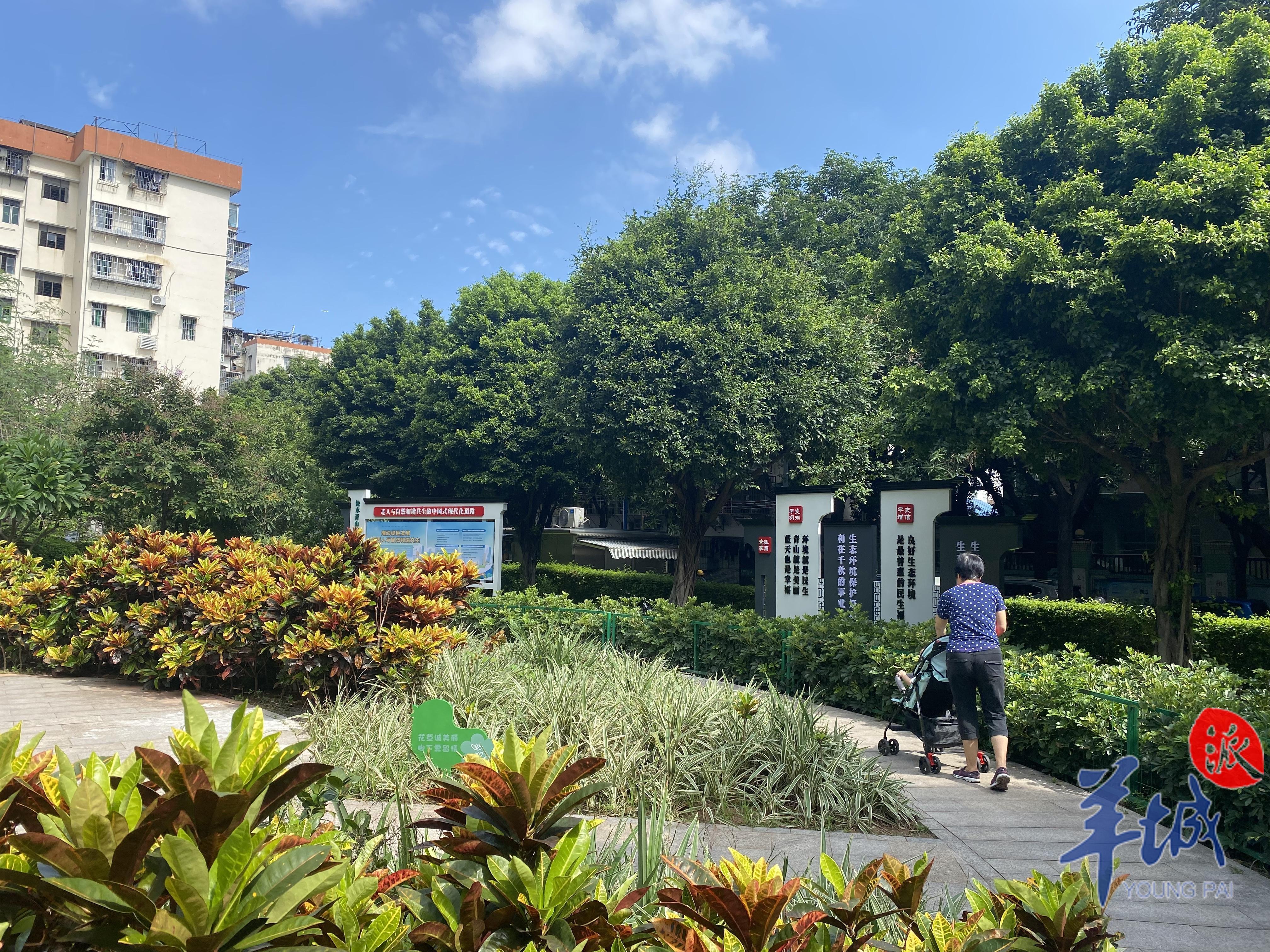 公园
