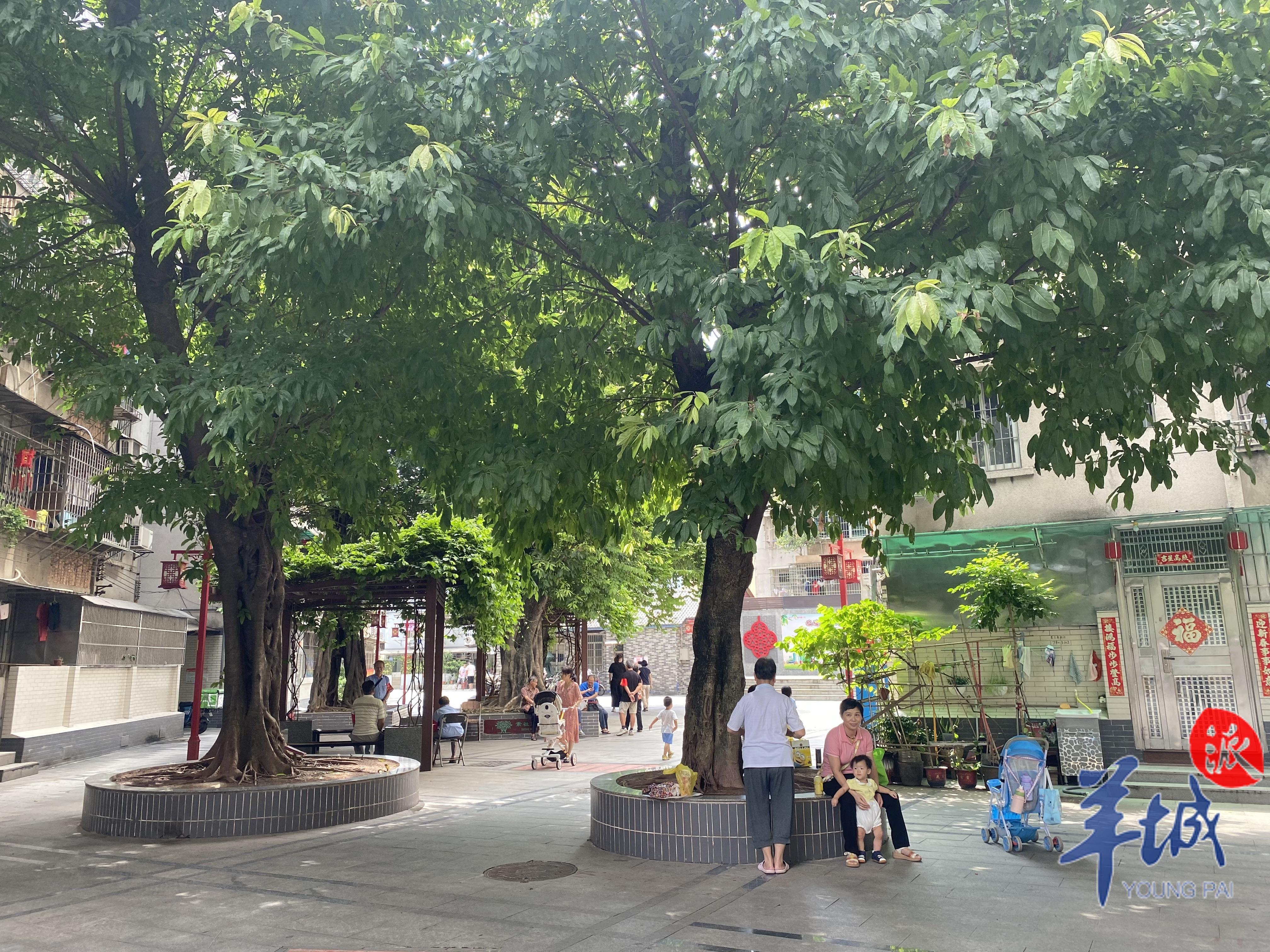 兰蕙园小区