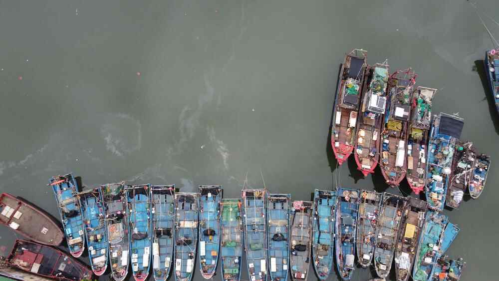 碣石镇归港渔船停放整齐