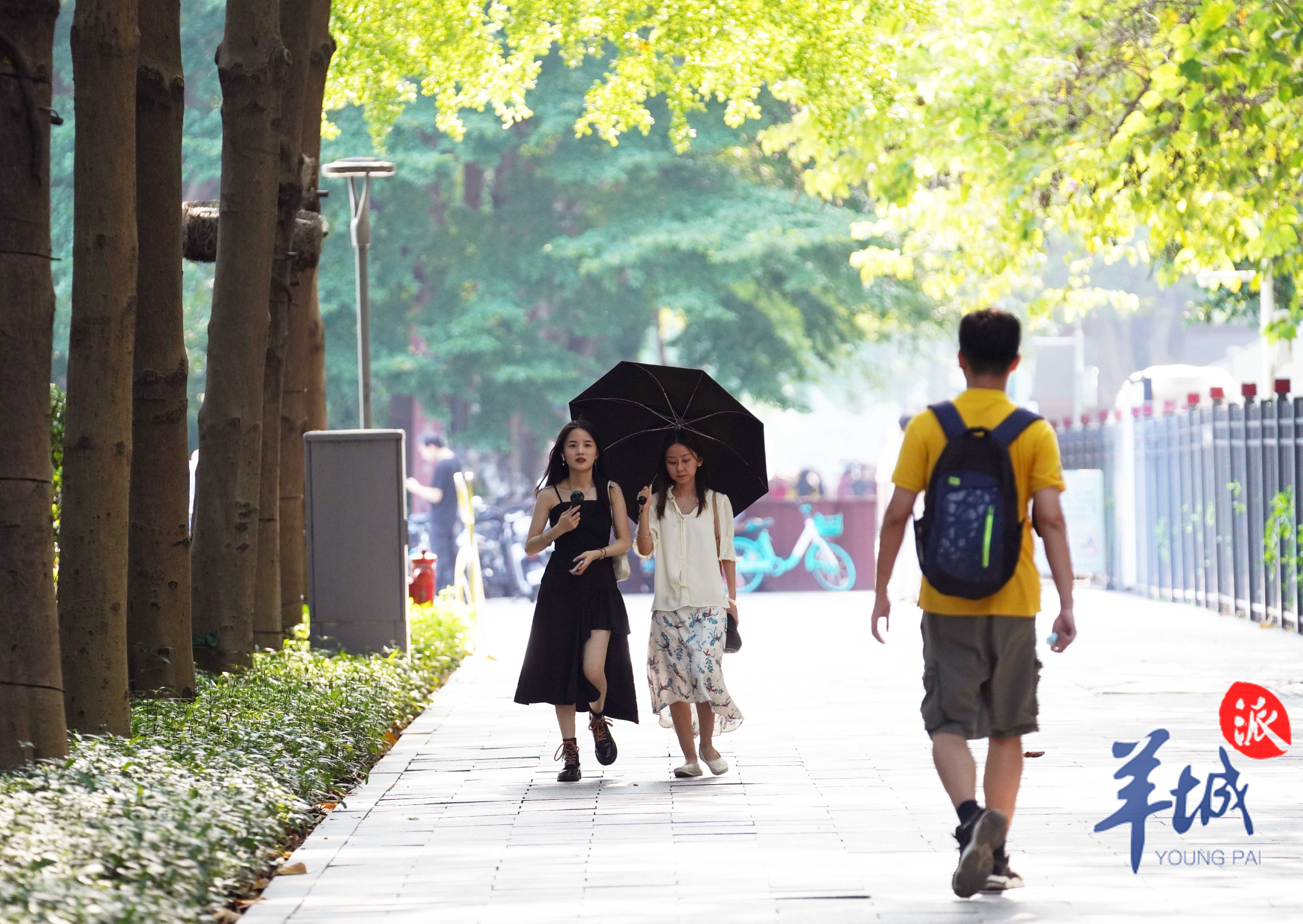 资料图/羊城晚报全媒体记者 邓勃 方浩