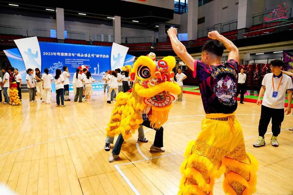 粤港澳青年佛山功夫行研学活动启动
