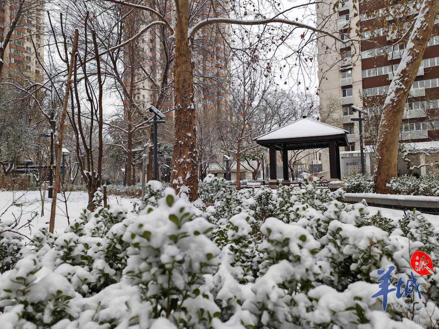 北京雪景