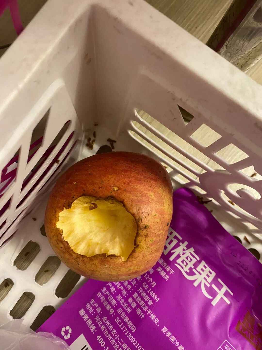 杭州一小区松鼠泛滥成灾，业主都怕了：在家里“吃香喝辣”，根本抓不完