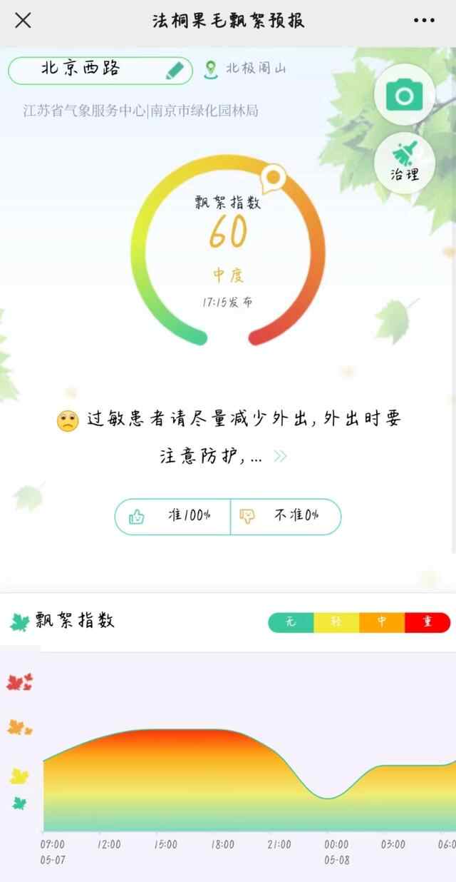 每个南京人的身上都有毛毛!南京大风叠加毛絮雨,网友叫苦不迭