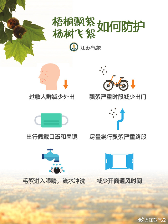 每个南京人的身上都有毛毛!南京大风叠加毛絮雨,网友叫苦不迭