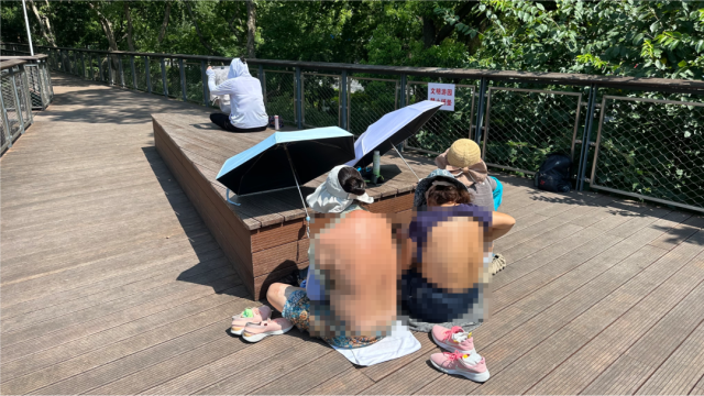 辣眼睛?“晒背族”占领上海各公园,园方成“三夹板”,医生提醒→