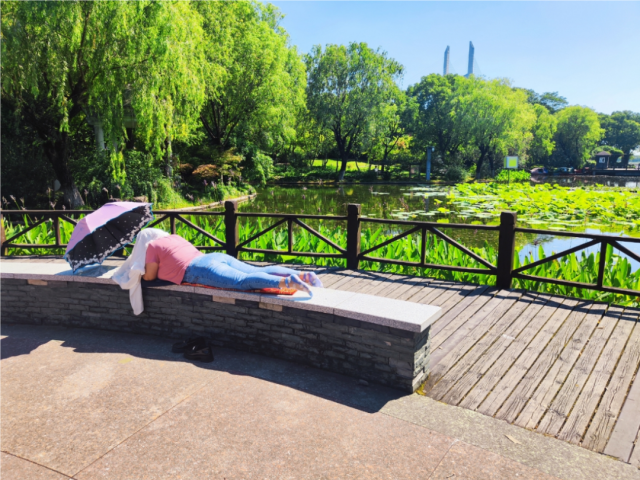 辣眼睛?“晒背族”占领上海各公园,园方成“三夹板”,医生提醒→