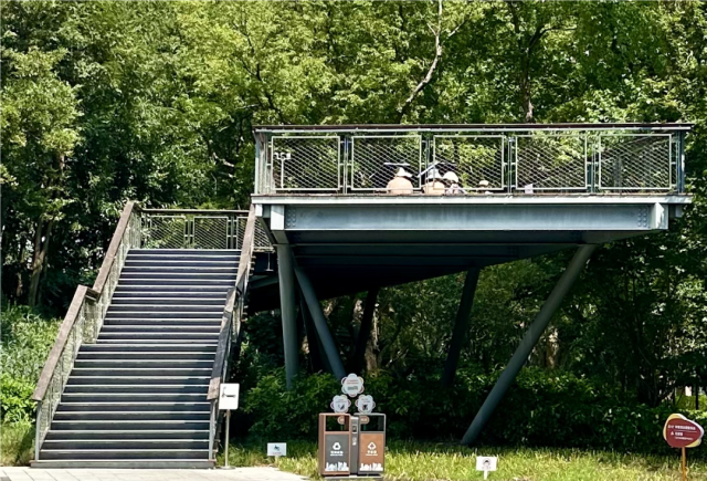 辣眼睛?“晒背族”占领上海各公园,园方成“三夹板”,医生提醒→