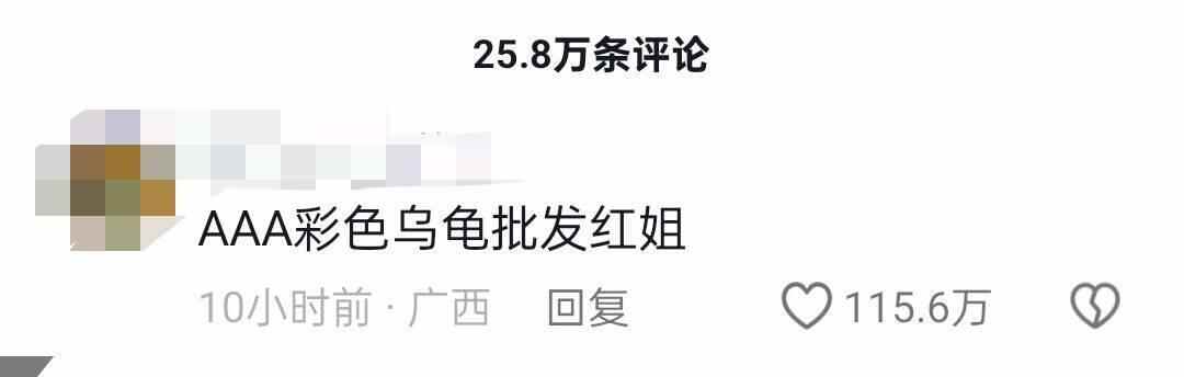 摆了满地！全红婵到底买了多少乌龟？网友辣评：AAA彩色乌龟批发红姐