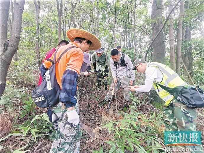 科研人员在开展中华穿山甲洞穴样线专项调查。 科研人员在开展中华穿山甲洞穴样线专项调查。