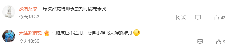 广东蟑螂已进化?疾控部门回应:不科学