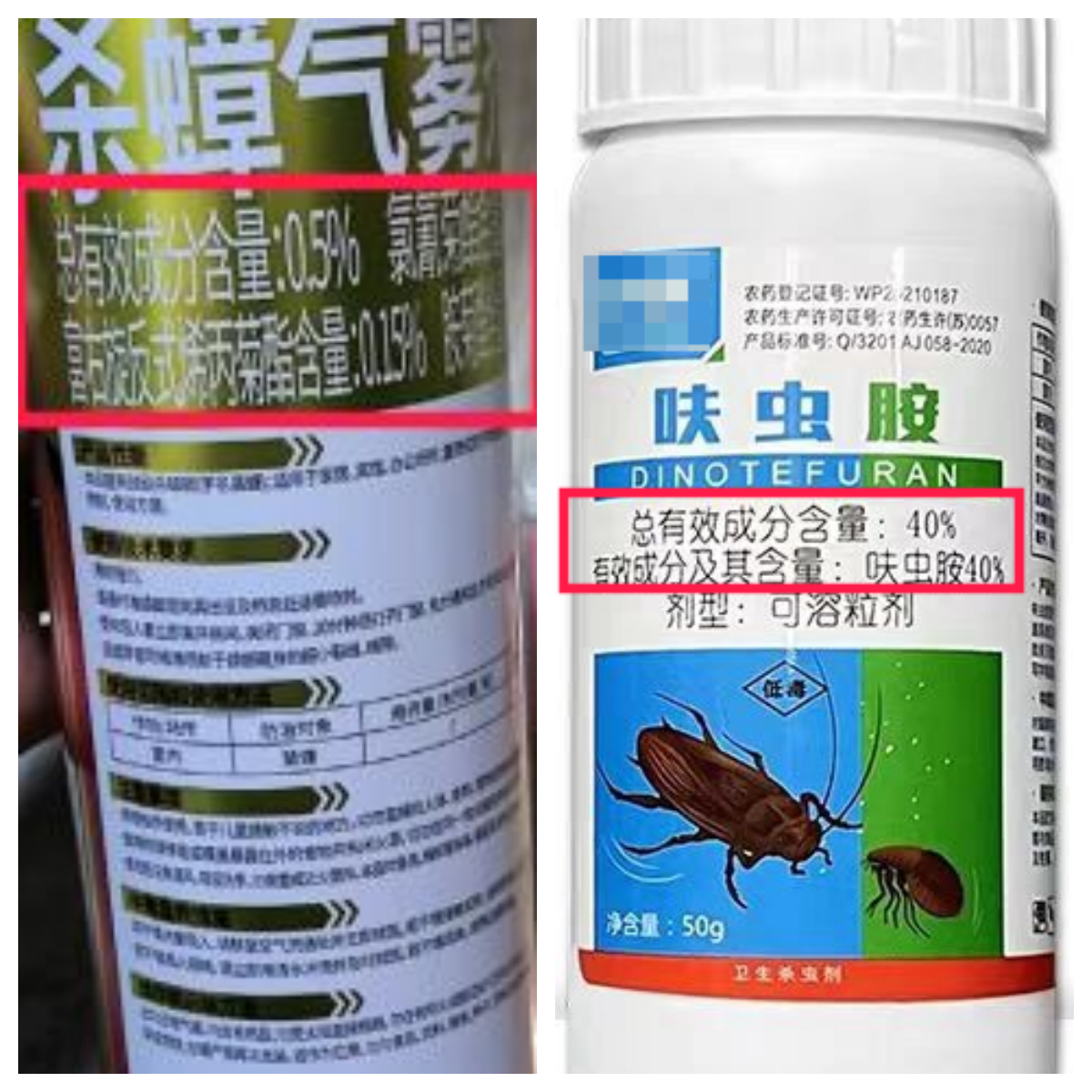 广东蟑螂已进化?疾控部门回应:不科学