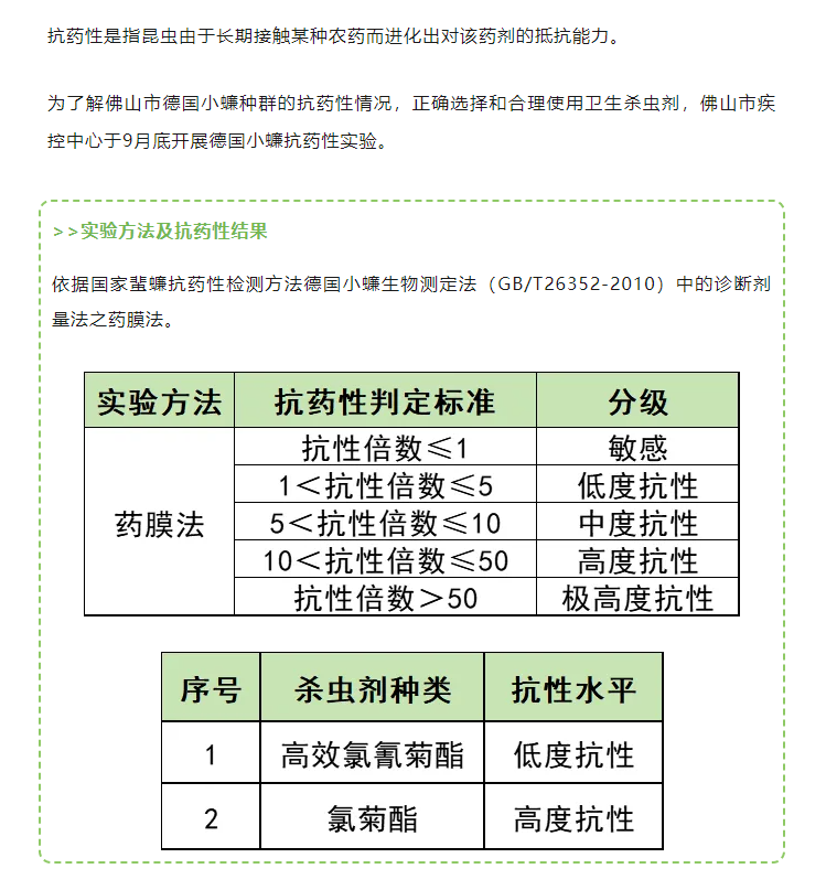 广东蟑螂已进化?疾控部门回应:不科学