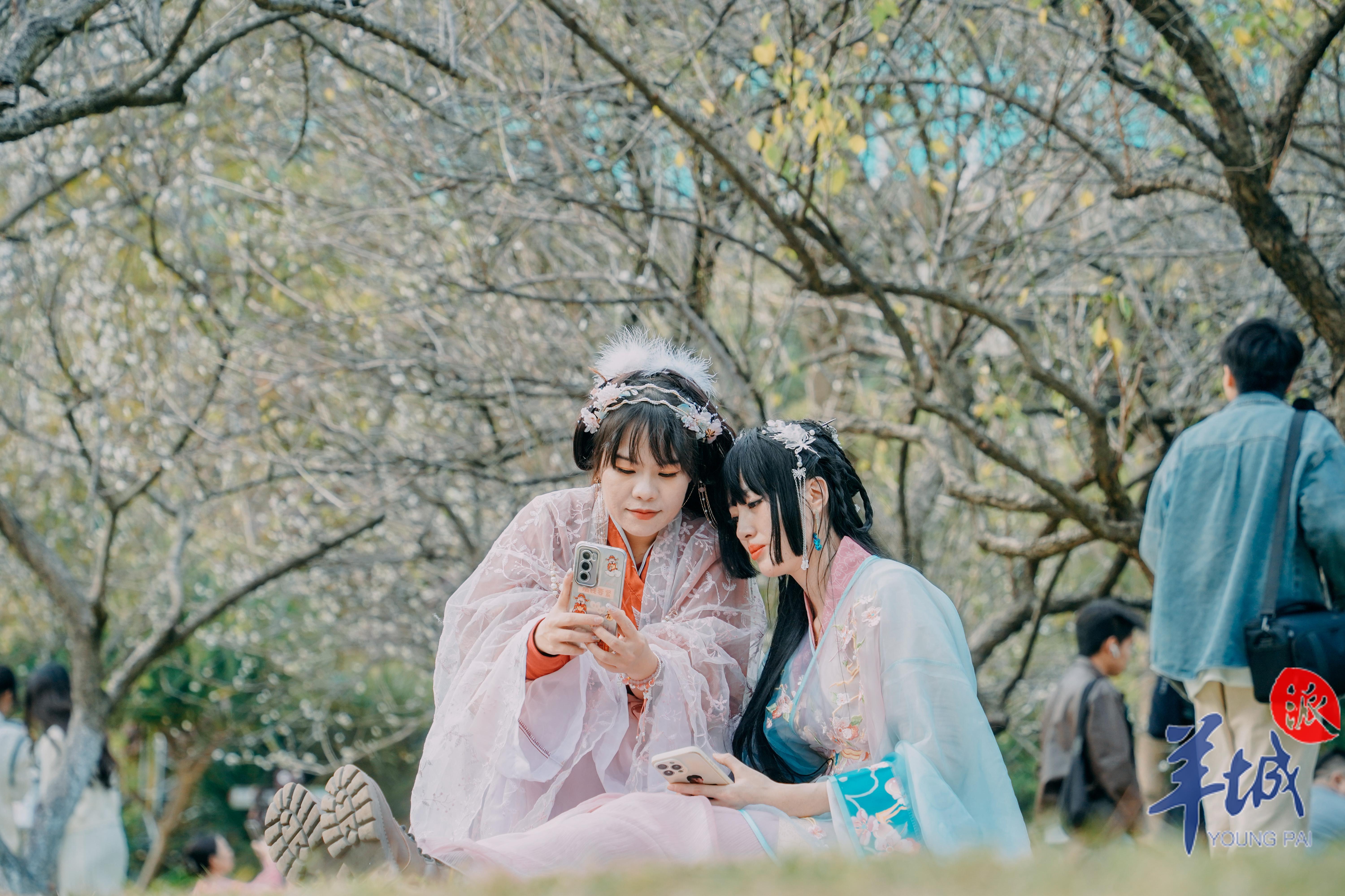 梅花树下，穿着汉服的女生们打卡拍照