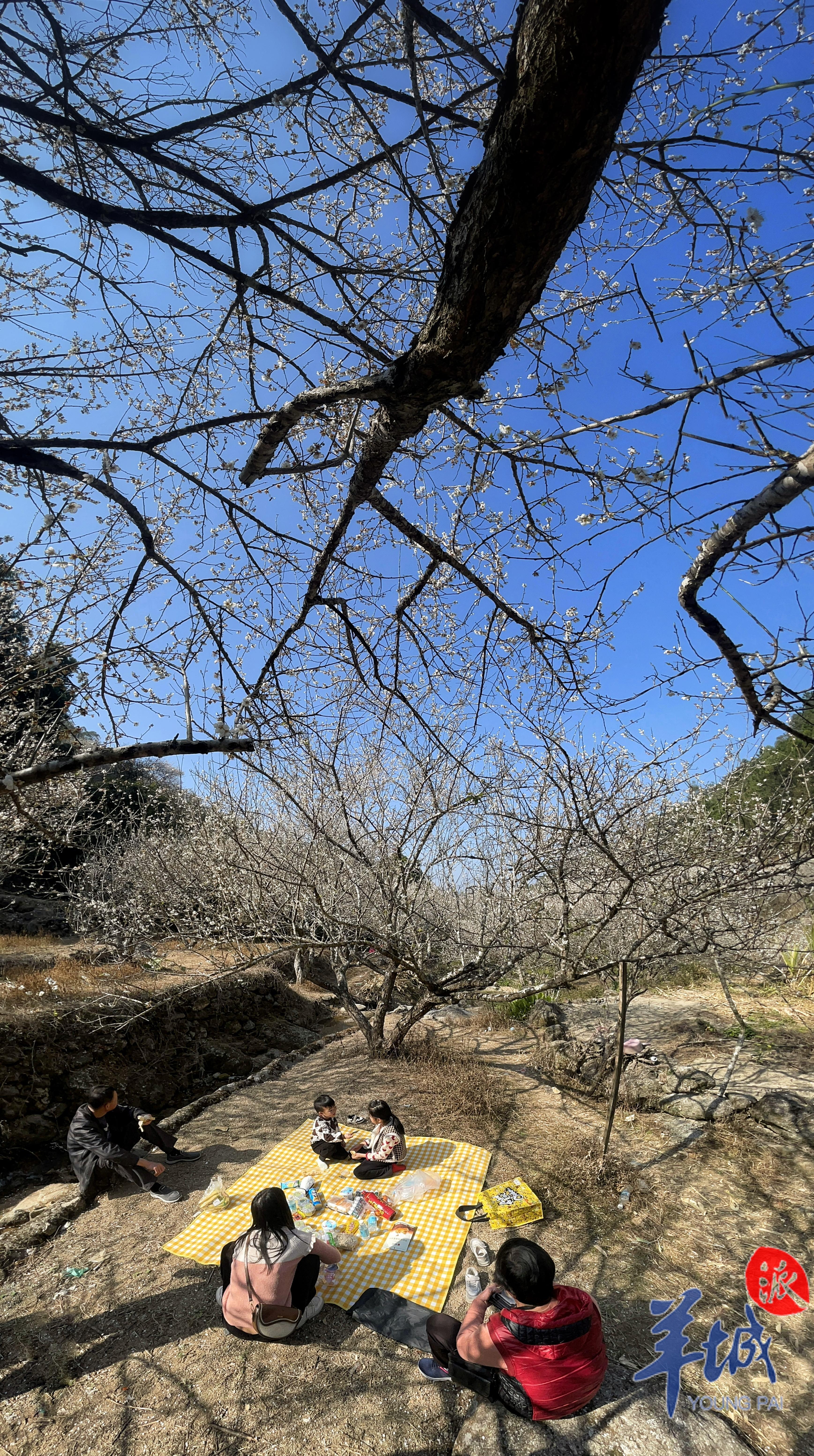 游客慕名而来 陈狄青 摄