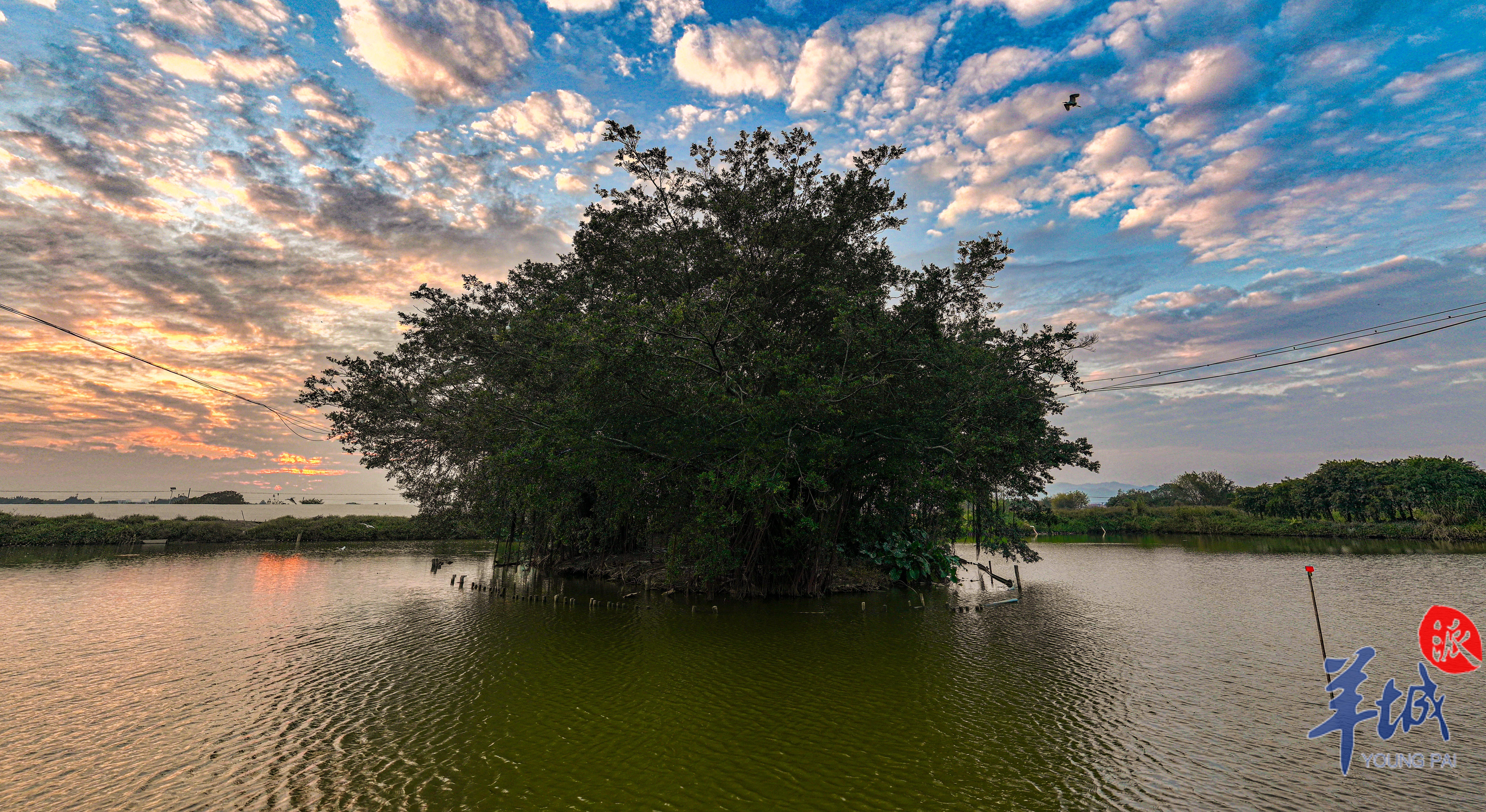 椭圆小岛宛如水上青螺  谭成伟 摄