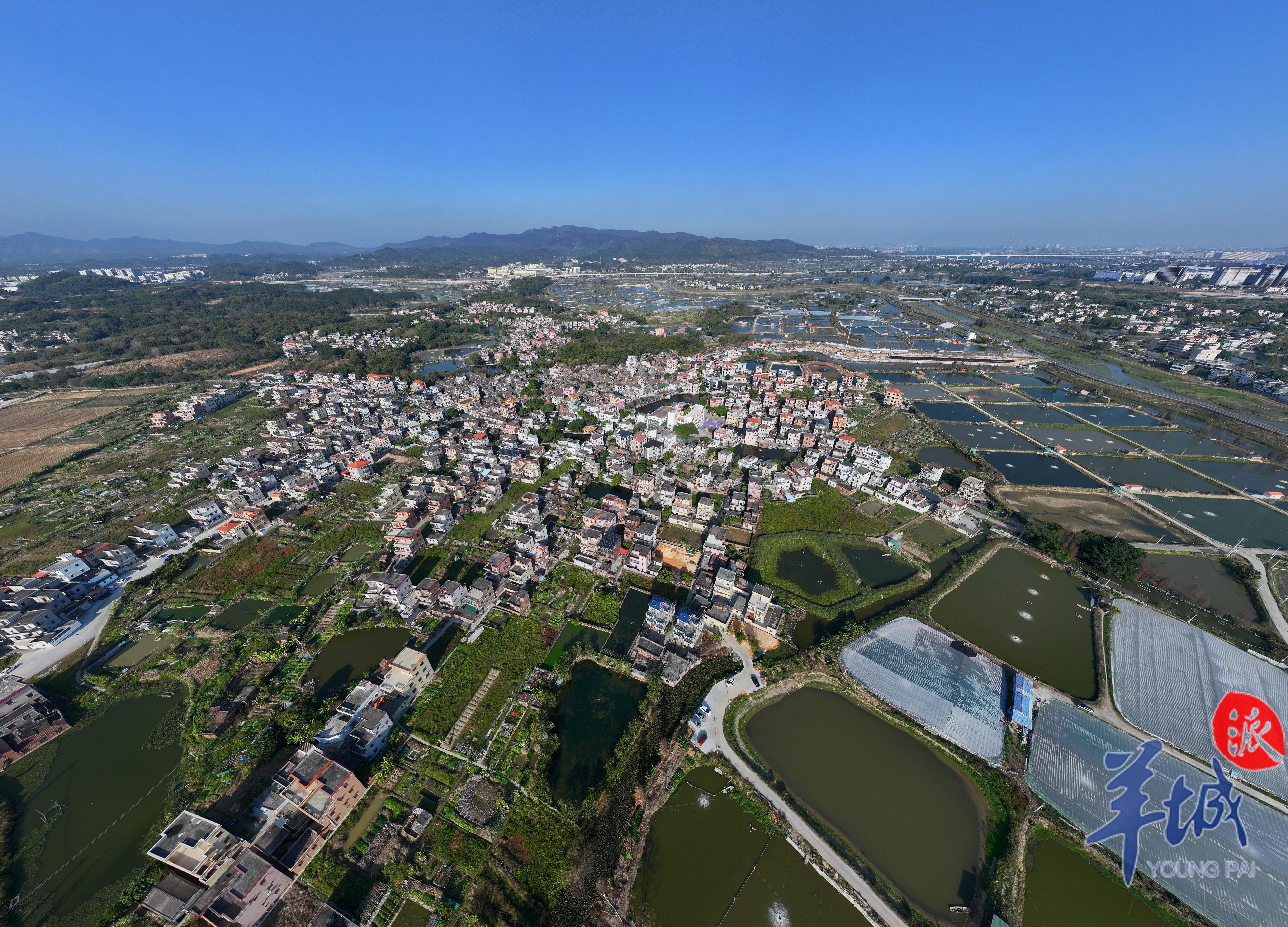 河网纵横交织  谭成伟 摄