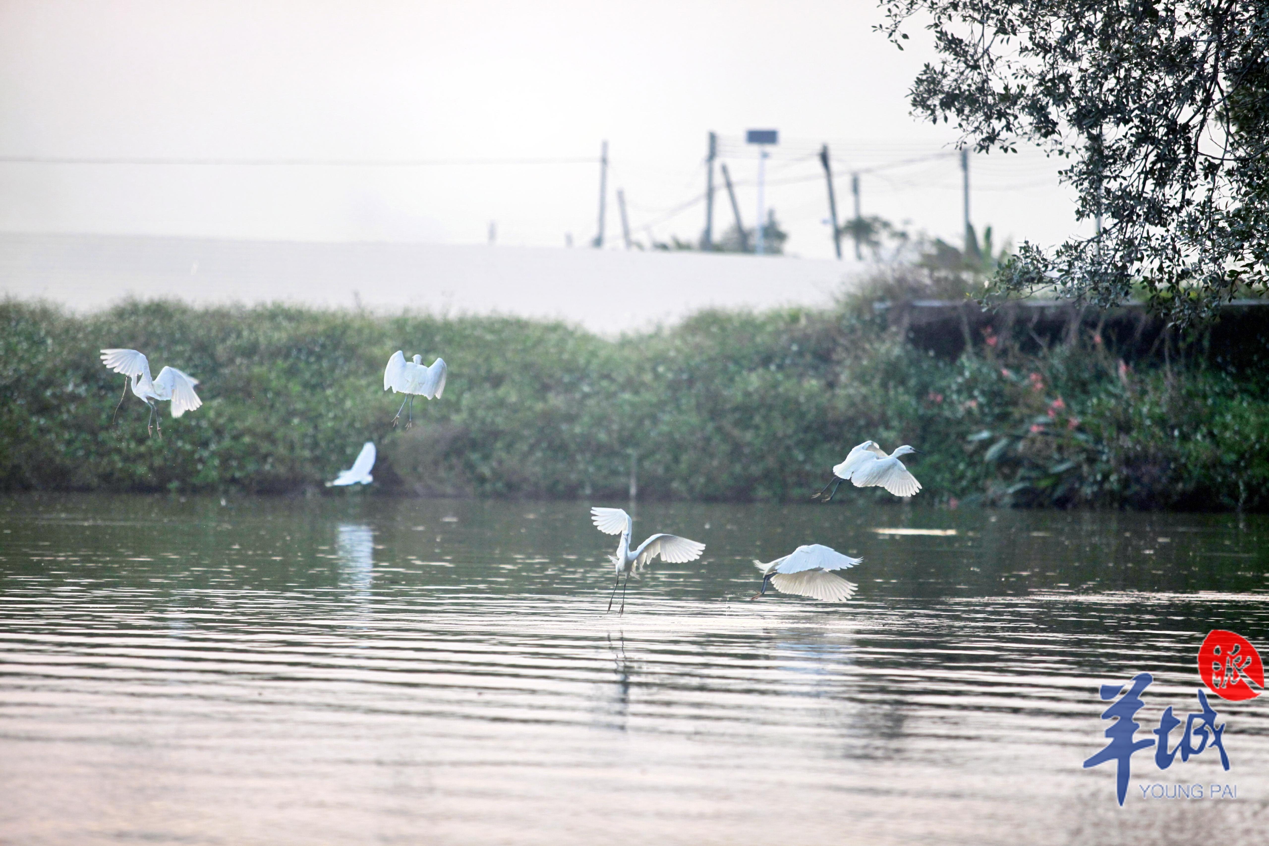 人与自然和谐共生 麦和幸 摄