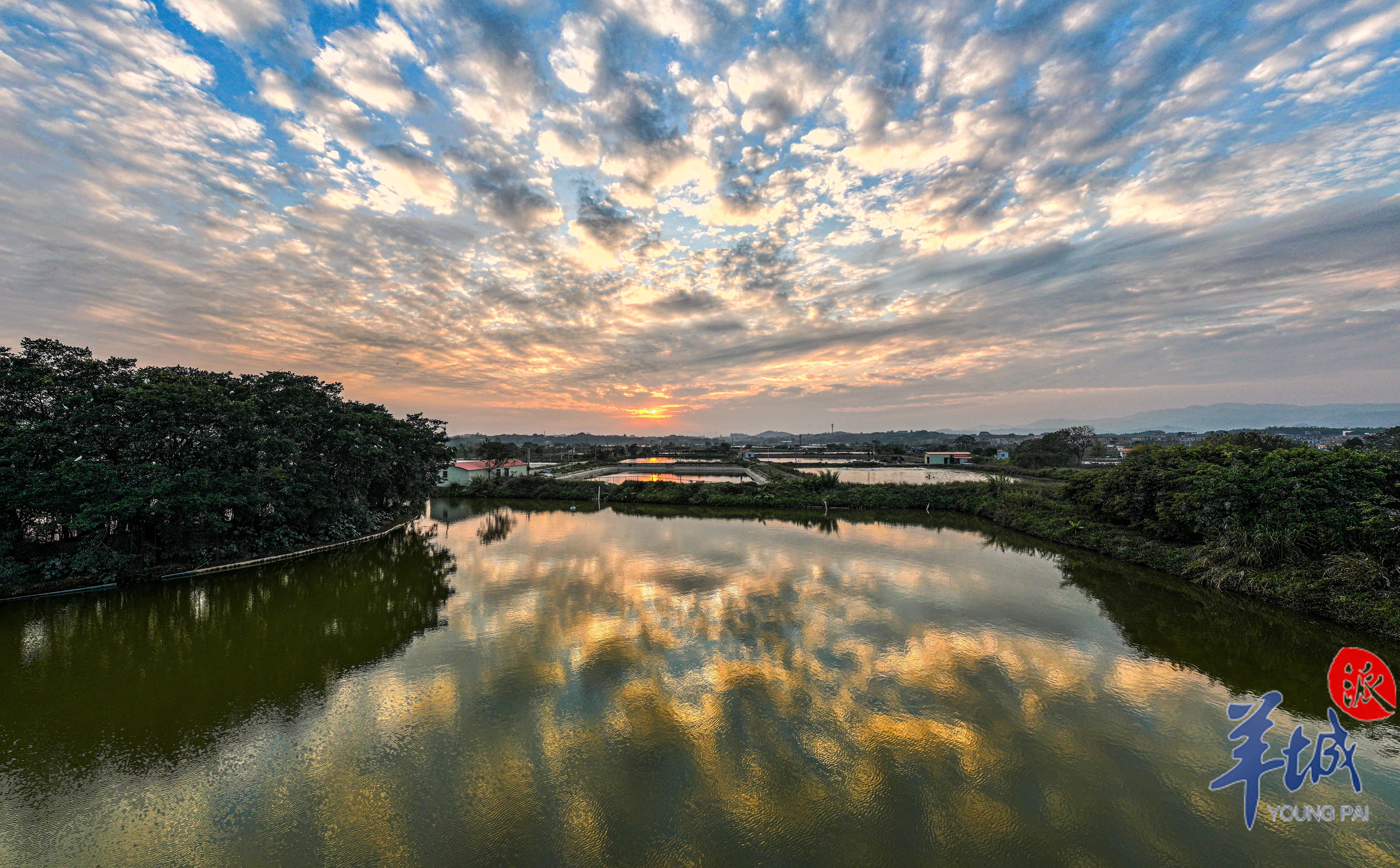 古劳水乡之约 谭成伟 摄