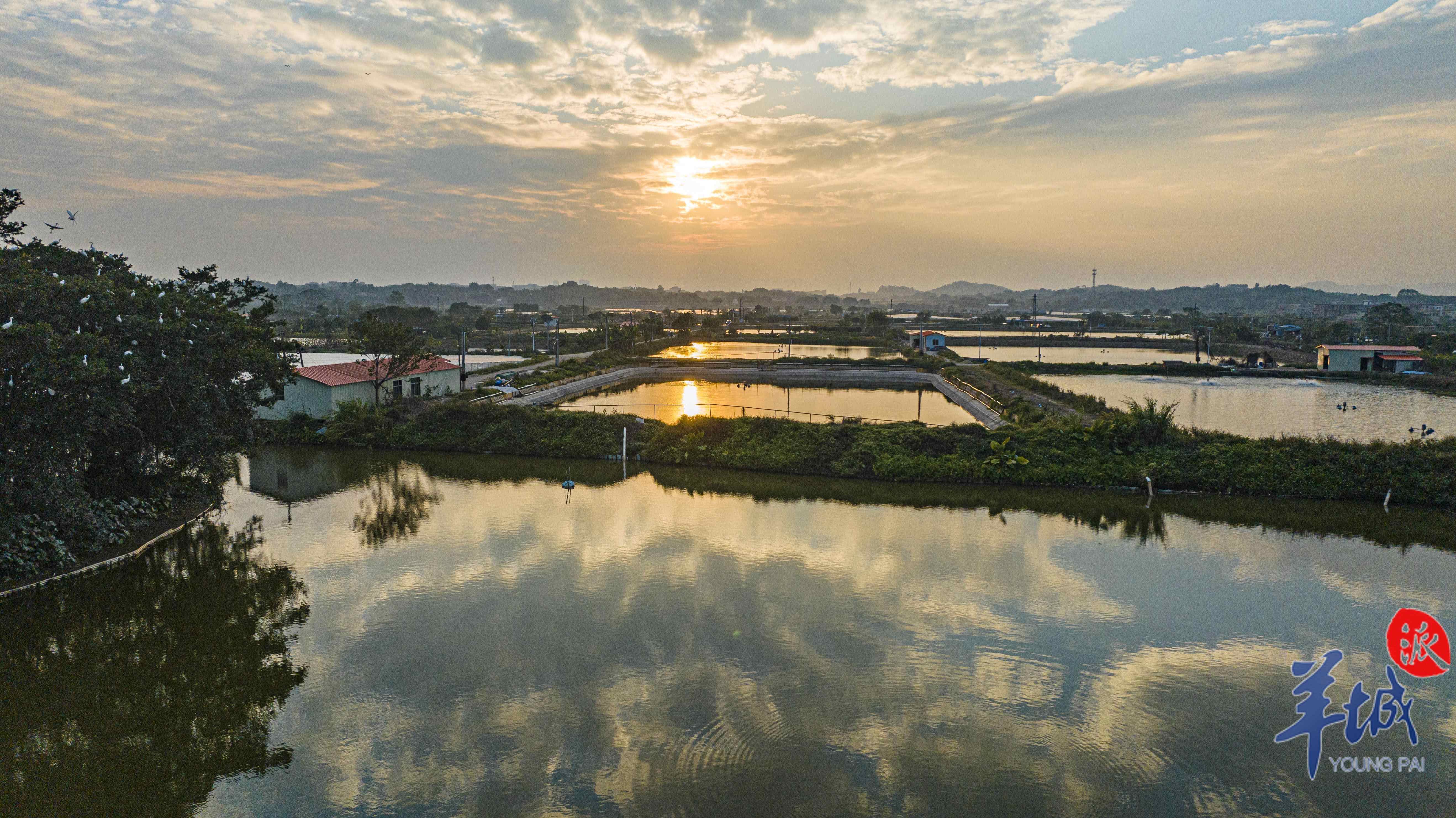 水乡旖旎风光 谭成伟 摄