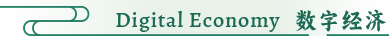 Digital Economy 数字经济