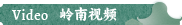 VIDEO 视频